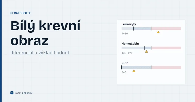 Titulní grafika článku o bílém krevním obrazu a diferenciálním rozpočtu leukocytů
