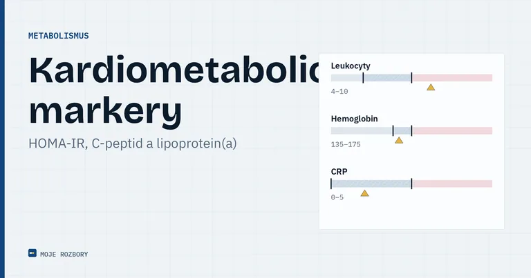 Titulní grafika článku o kardiometabolických markerech HOMA-IR, C-peptidu a lipoproteinu(a)